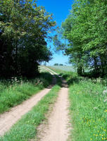 Chemin de randonnée